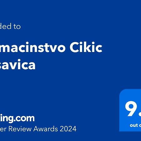 Domacinstvo Cikic Zasavica Pensionat Eksteriør billede