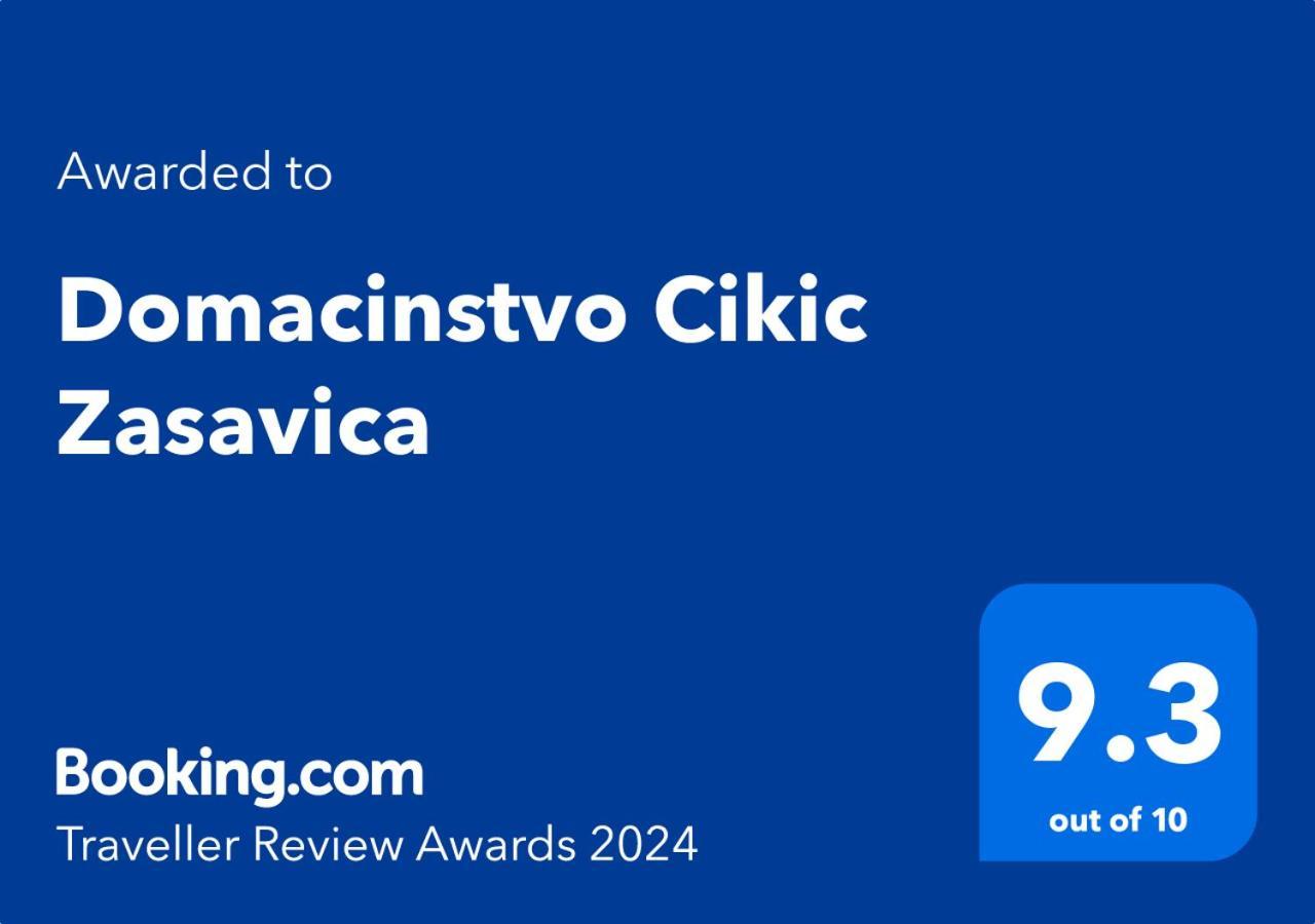 Domacinstvo Cikic Zasavica Pensionat Eksteriør billede